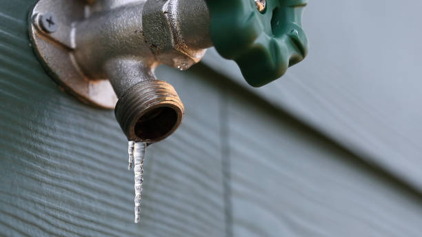 Best Shower Repair Services  in Donora, PA