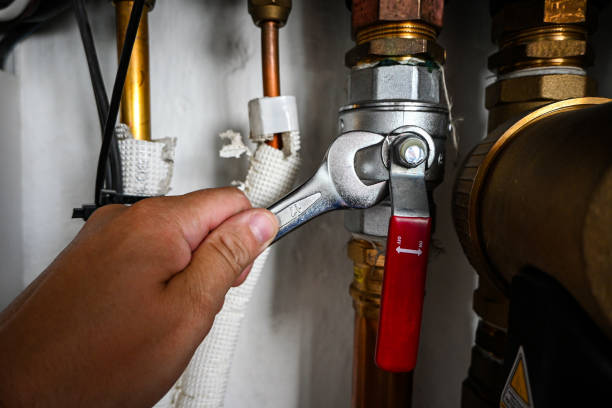 Best Local Plumber Services  in Donora, PA